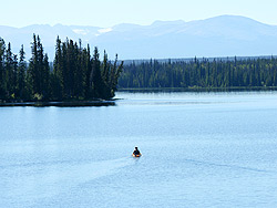 A woman peddles a small yellow boat across the lake.