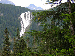 Photo courtesy of Bill and Anita Miller. A massive waterfall flows over rock surrounded by trees.