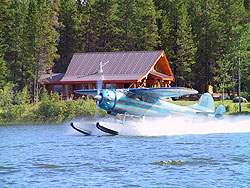 An old blue second world war vintage plane takes off of Nimpo Lake with log cabin behind.
