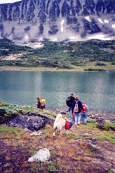 Photo property of Mary Kirner. People with pack dogs hike down to an alpine lake.
