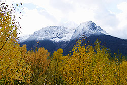 Fresh snow on a peak in the Bella Coola Valley with autumn yellow on aspen below.
