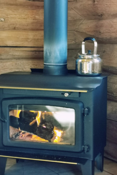 Living room with stove