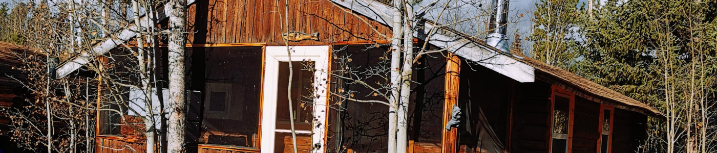 Photo of several cabins just seen among the trees and green brush.